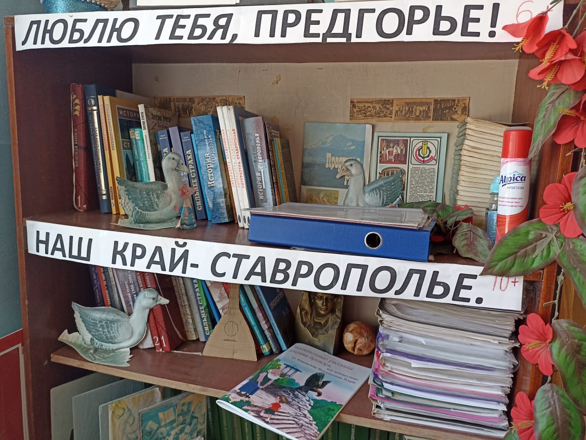 Библиотека